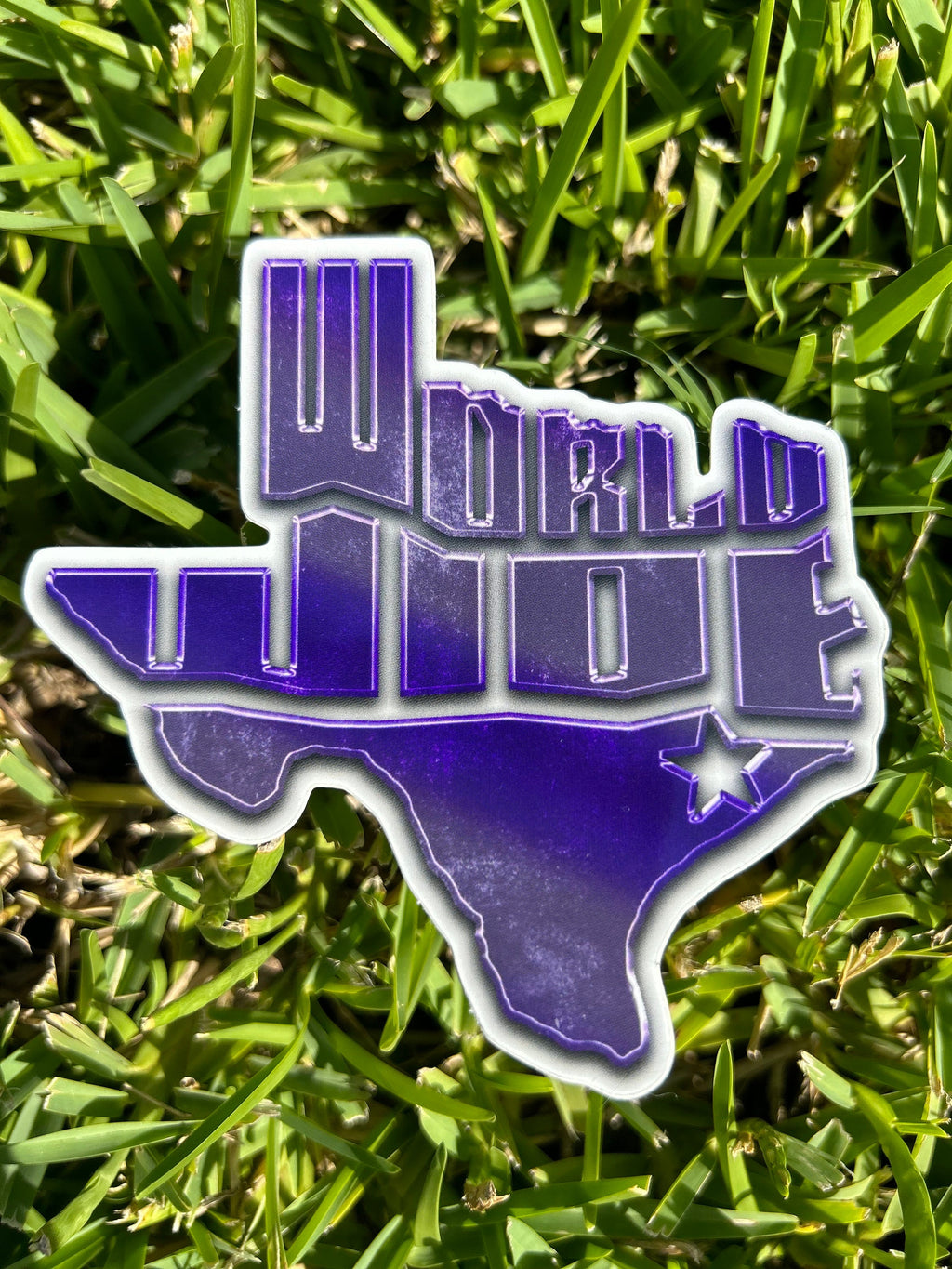Worldwide Texas Logo Sticker Pack: Screwston, Htown, Pimp C