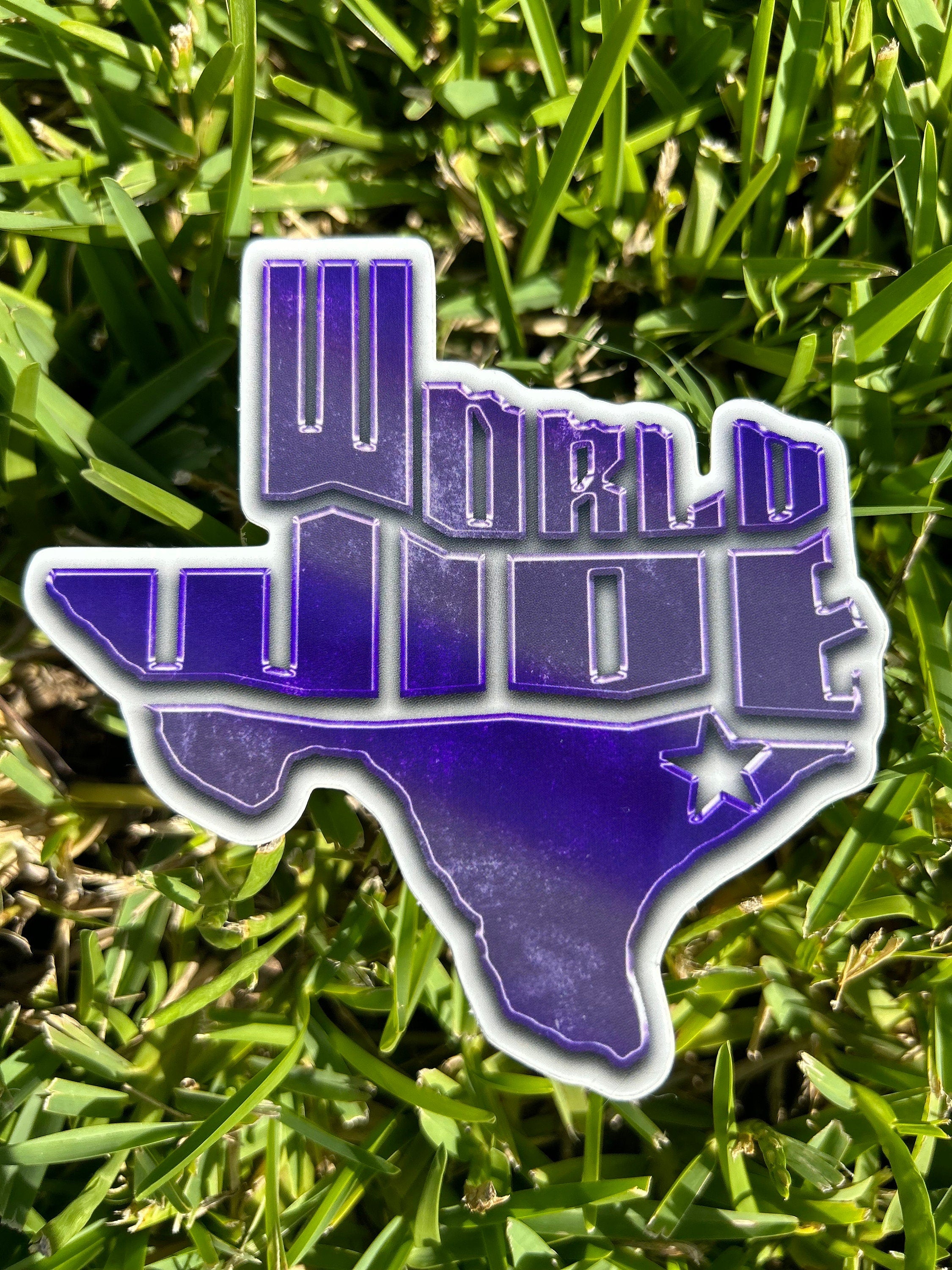 Worldwide Texas Logo Sticker Pack: Screwston, Htown, Pimp C